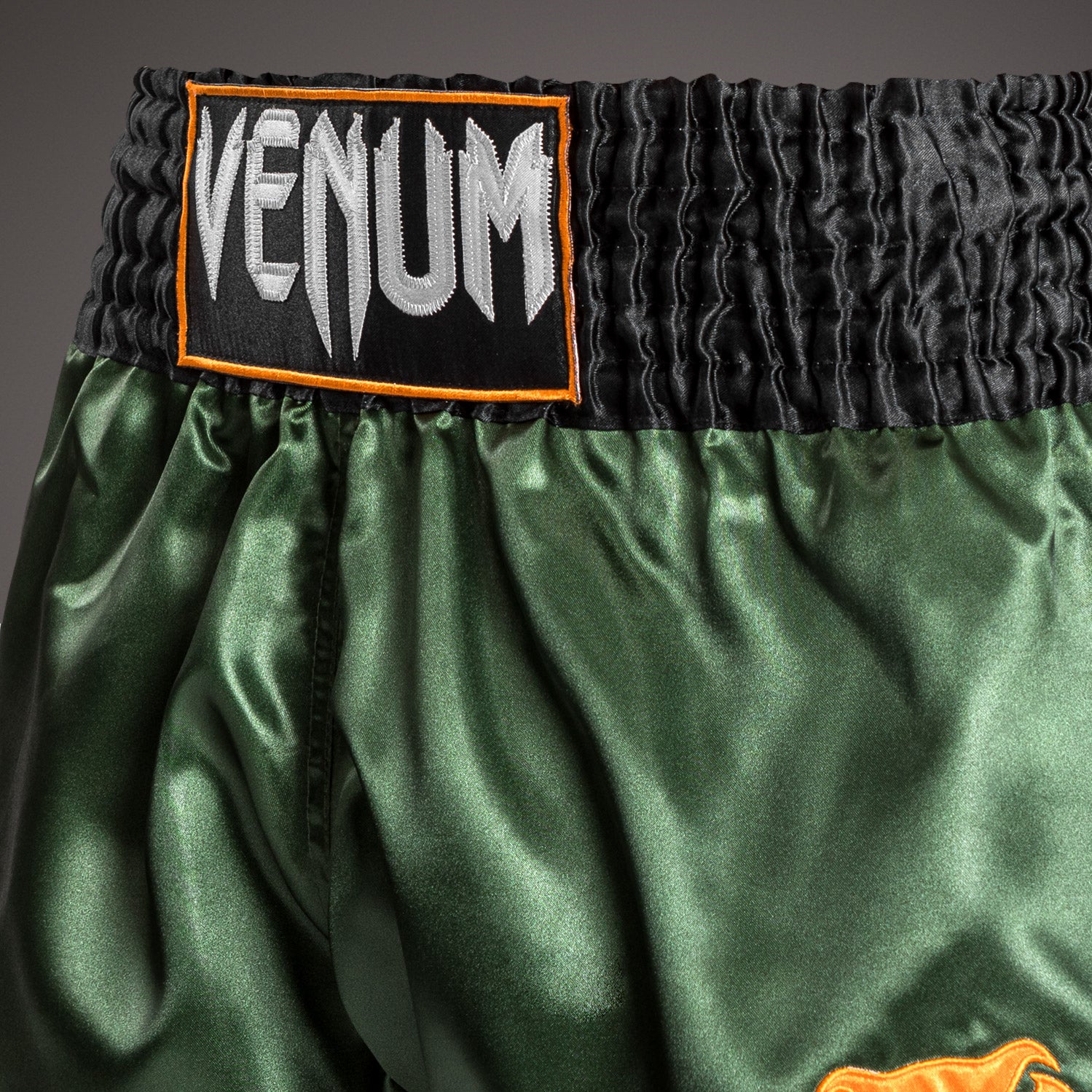 Venum Classic Muay Thai Shorts - Grün/Gold/Schwarz - Image 5