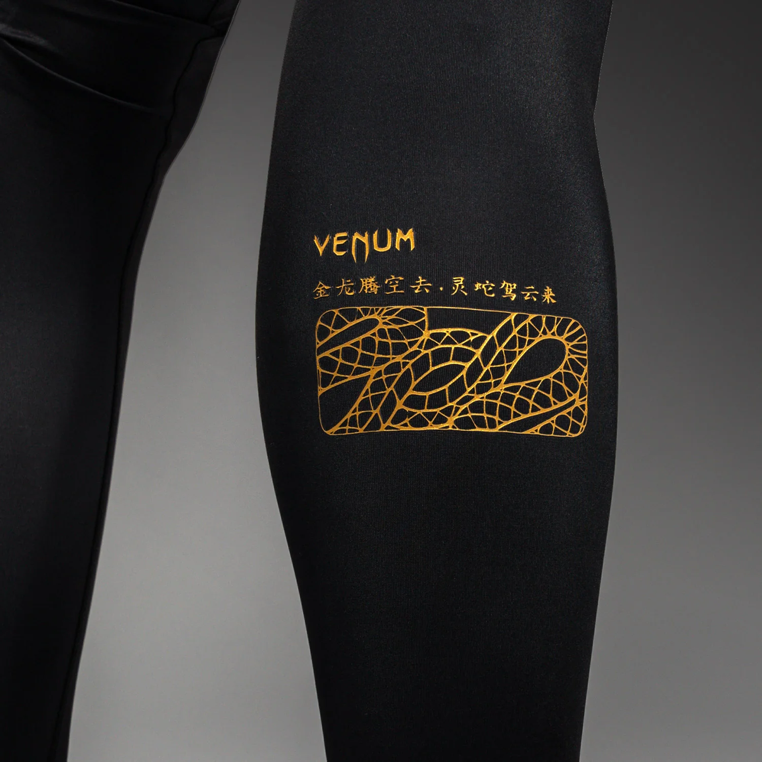 Venum Serpenti Spats – Schwarz/Silber/Gold - Image 7